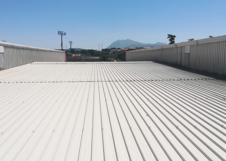 PaladeMauro1